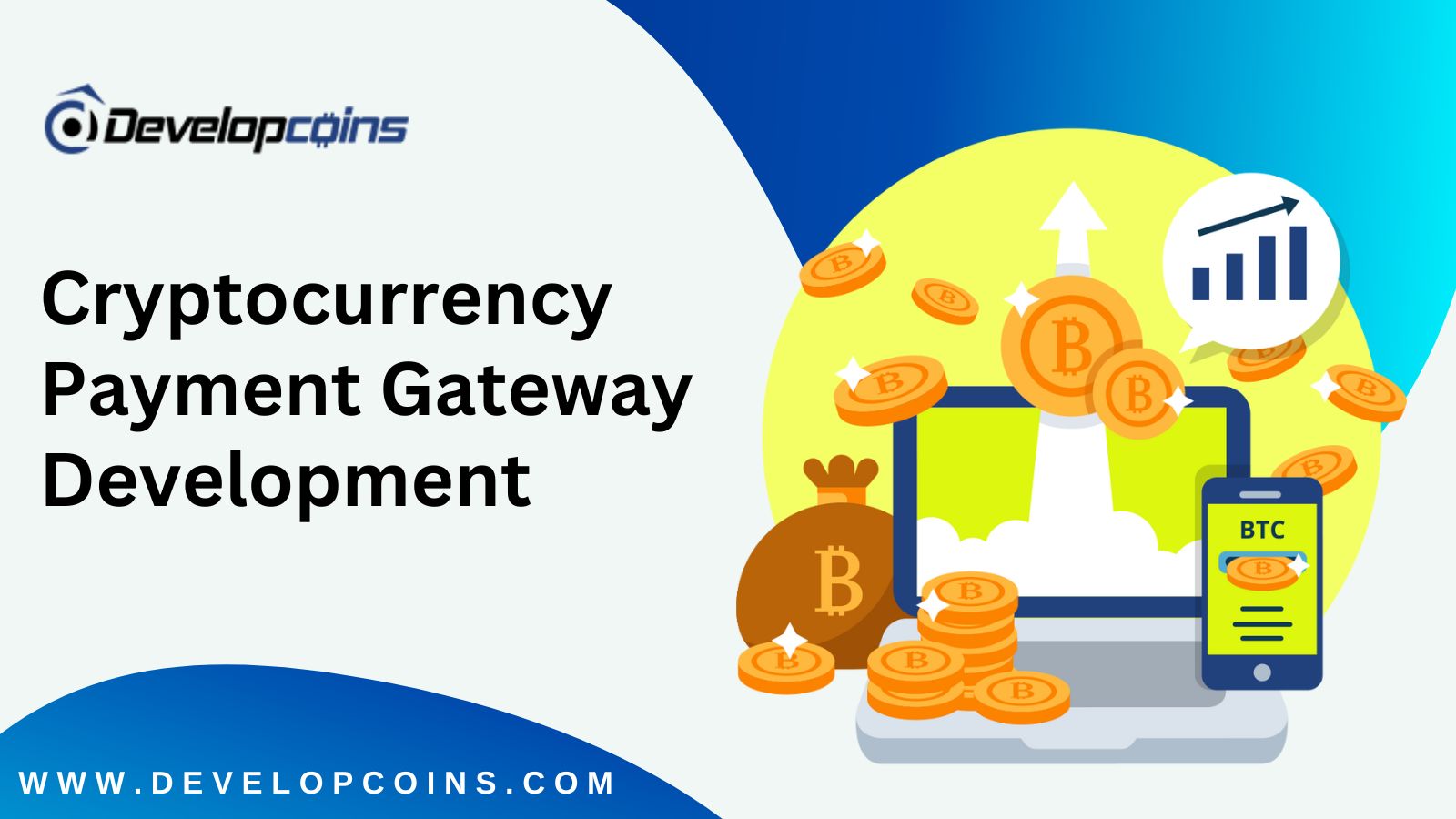 Top-Notch Cryptocurrency Payment Gateway Solutions To Embrace Decentralized Payment Mode