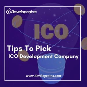 Explore The Key Aspects In Choosing The Best ICO Development Company
