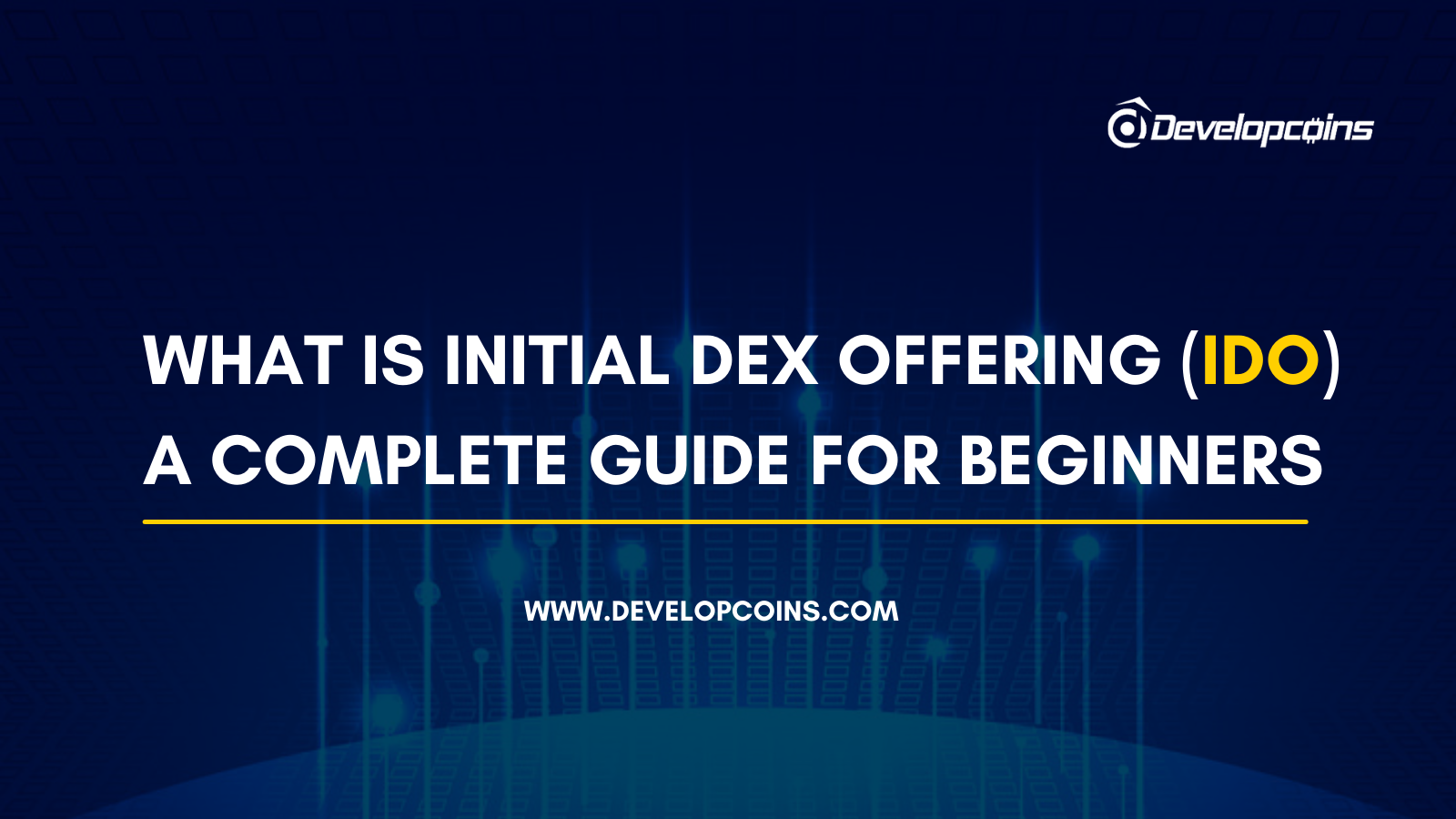 What is Initial DEX Offering (IDO)? A Complete Guide For Beginners
